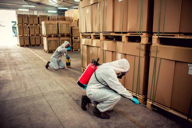 Best Pest Prevention Services  in Lander, WY