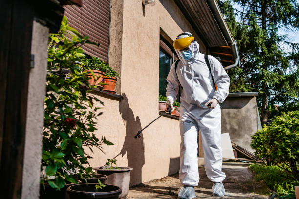 Best Mosquito Control Services  in Lander, WY