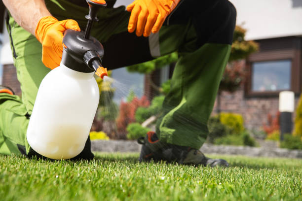 Best Insect Control  in Lander, WY
