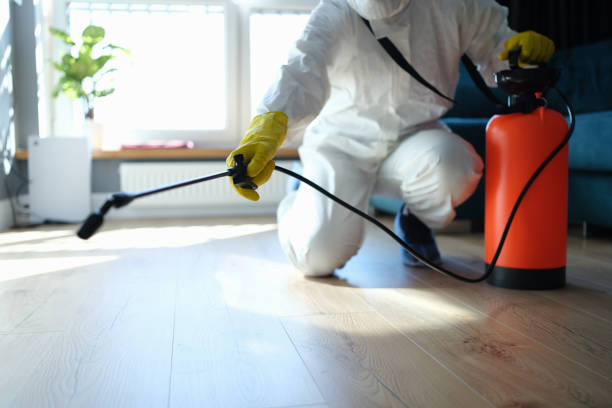 Flea Control Services in Lander, WY