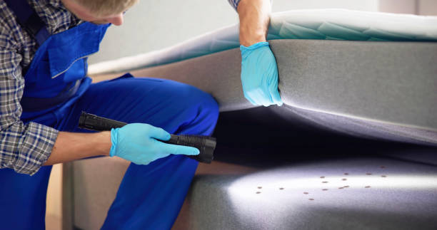 Pest Control for Restaurants in Lander, WY