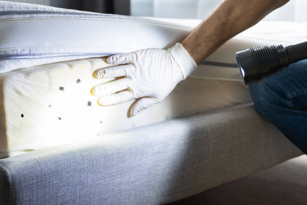 Best Residential Pest Control  in Lander, WY